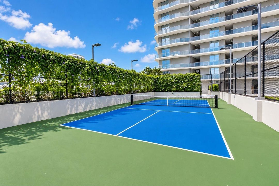 Pickleball court featuring a dual-toned hard surface, perimeter fencing with natural vegetation screen, and stadium-style lighting