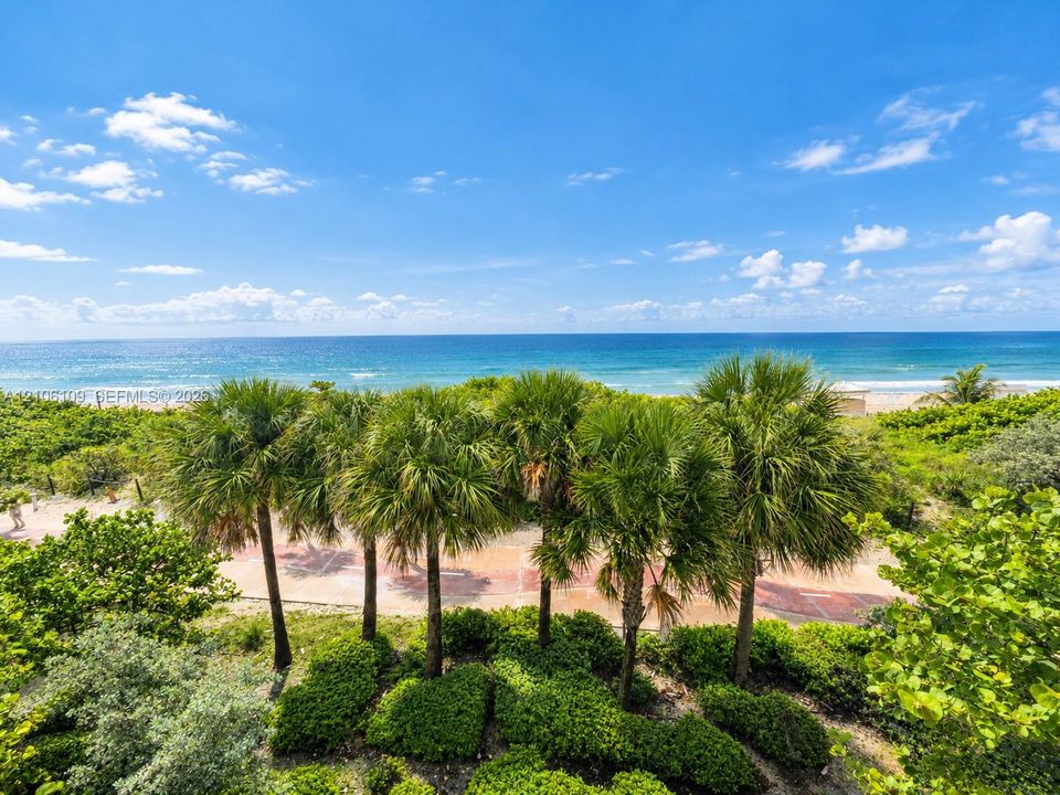 Oceanfront scenery featuring a sandy beach, mature palm trees, and lush tropical landscaping
