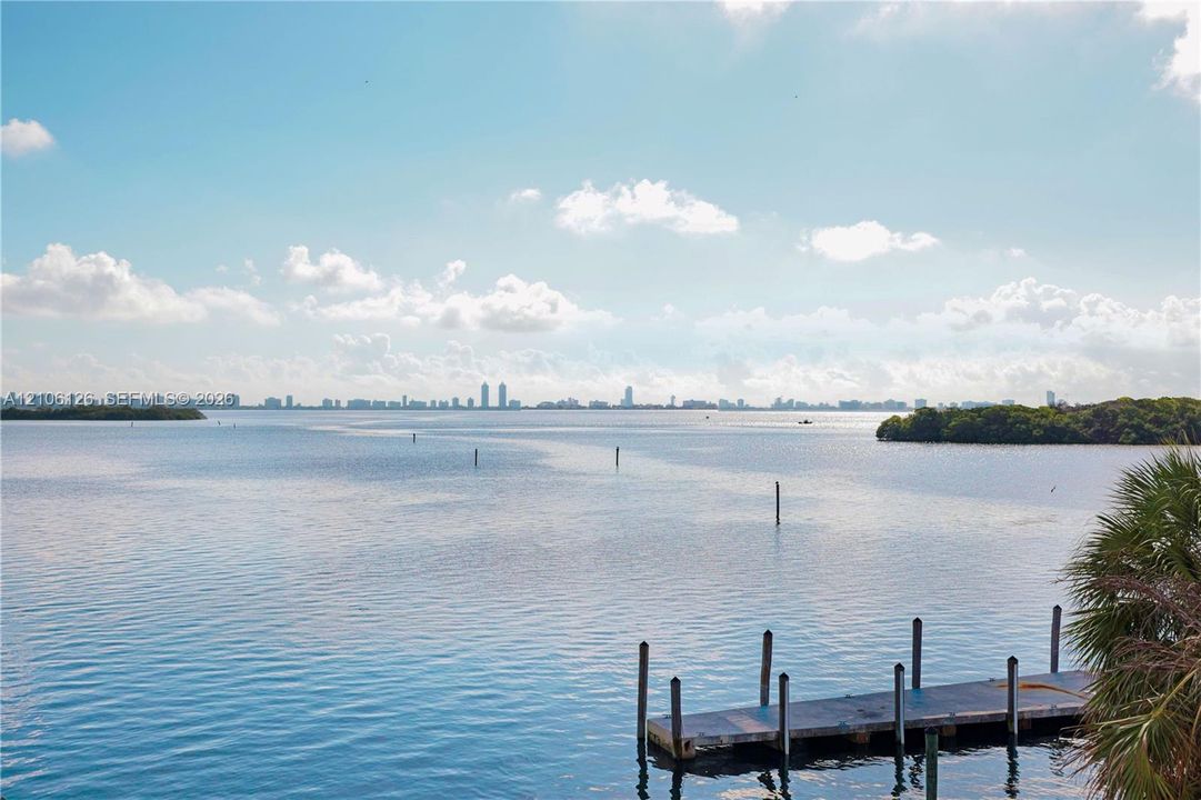 Waterfront property featuring a private wooden dock, mature palm foliage, and coastal scenery