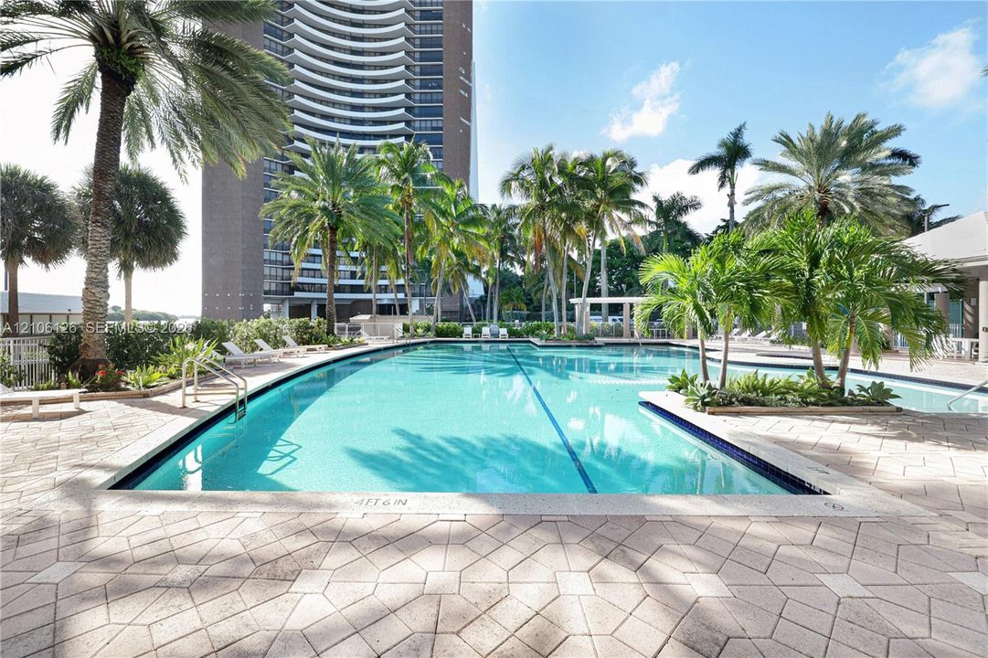 Swimming pool featuring a geometric paver deck, submerged step entry, and mature tropical landscaping