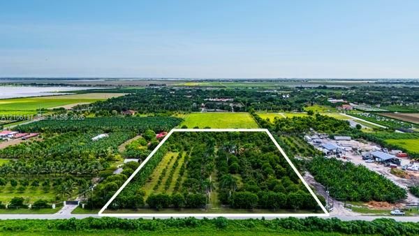 Expansive parcel featuring mature fruit-bearing trees, organized orchard rows, and palm tree landscaping
