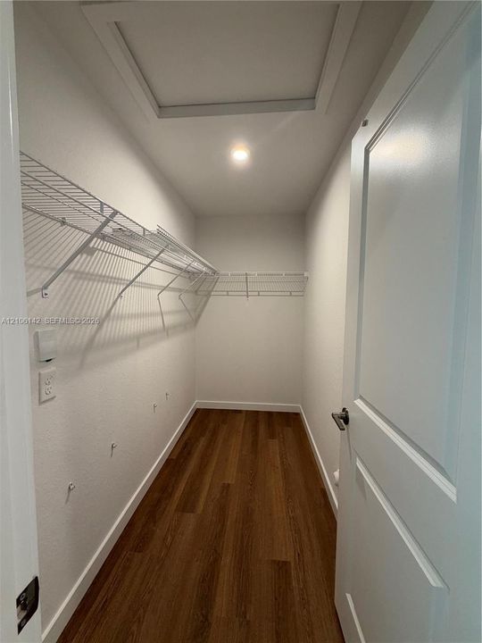 Walk-in closet featuring wood-finish flooring, white paneled door, and tiered wire shelving
