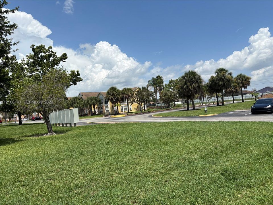 Expansive open green space featuring mature palm trees and asphalt roadway access