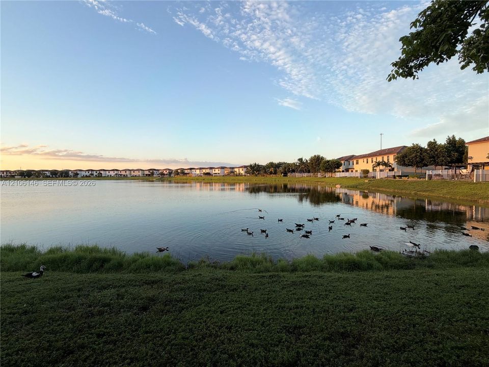 Waterfront lot featuring a large lake and expansive green space