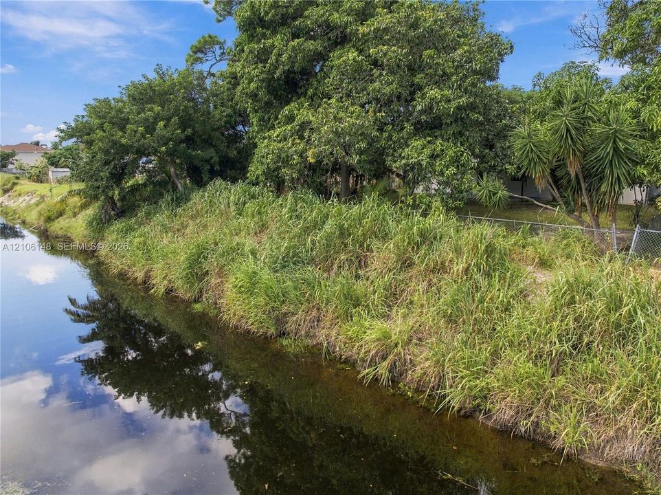 Waterfront parcel featuring a natural canal border, mature trees, and native vegetation