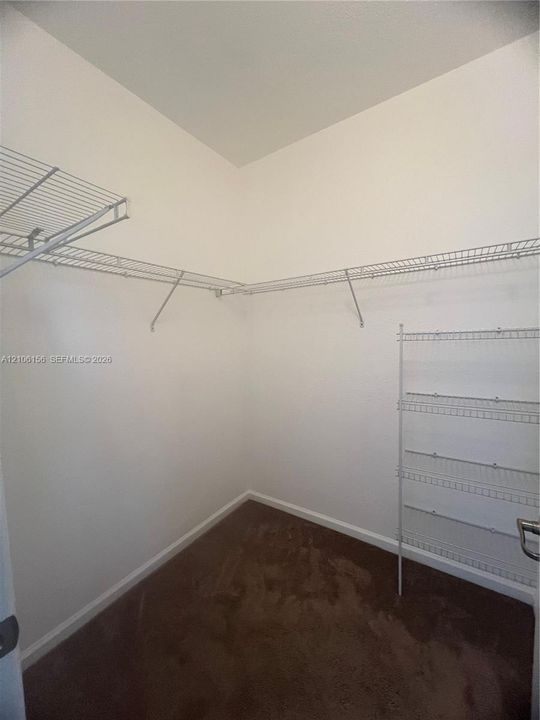 Walk-in closet featuring wall-to-wall carpeting and white vinyl-coated wire shelving systems