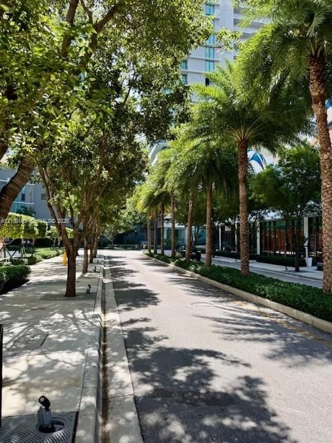 Paved street lined with mature palm trees and established canopy trees, featuring concrete sidewalks, manicured hedges, and exterior lighting fixtures