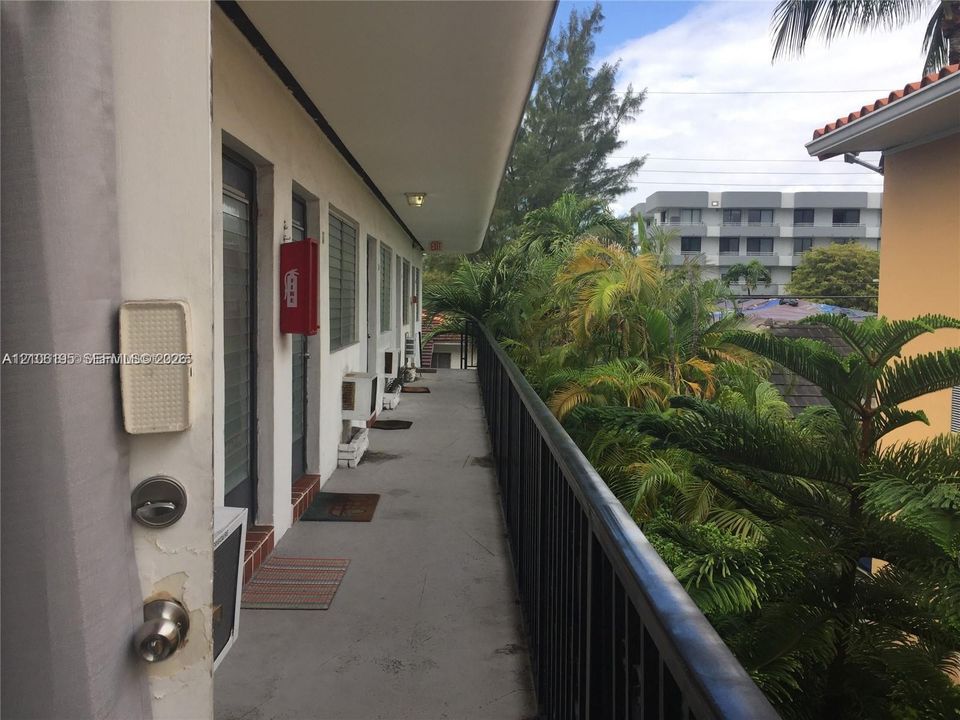 Exterior walkway featuring a concrete surface, metal railing, and overhead lighting, accented by mature palm trees and lush tropical foliage