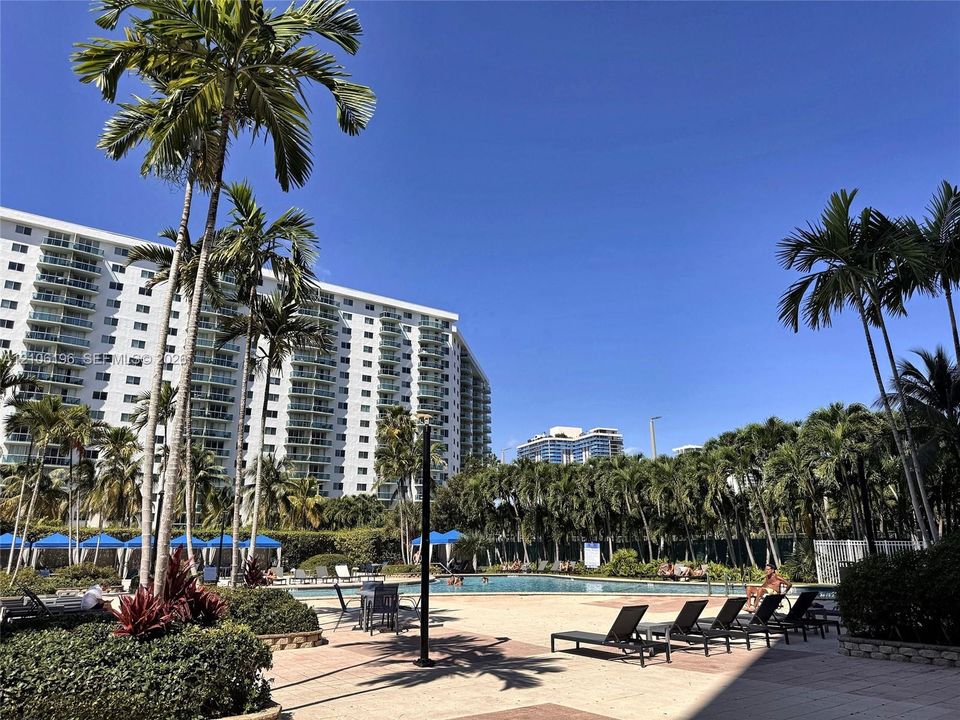 Swimming pool area featuring a stone-paved deck, surrounding palm trees, and structural shade coverings