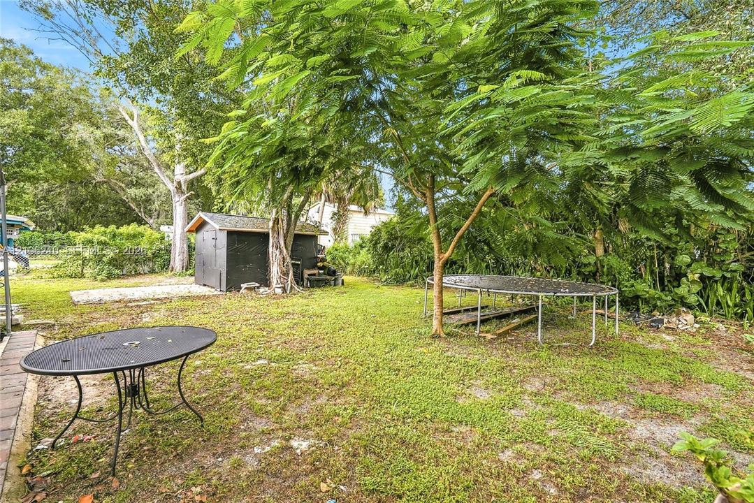 Expansive backyard featuring mature shade trees, a detached storage structure, and a graveled ground cover area