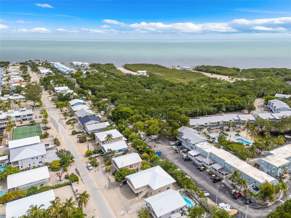 Aerial perspective of coastal residential property featuring metal roof structures, established palm vegetation, paved roadways, and direct proximity to the shoreline