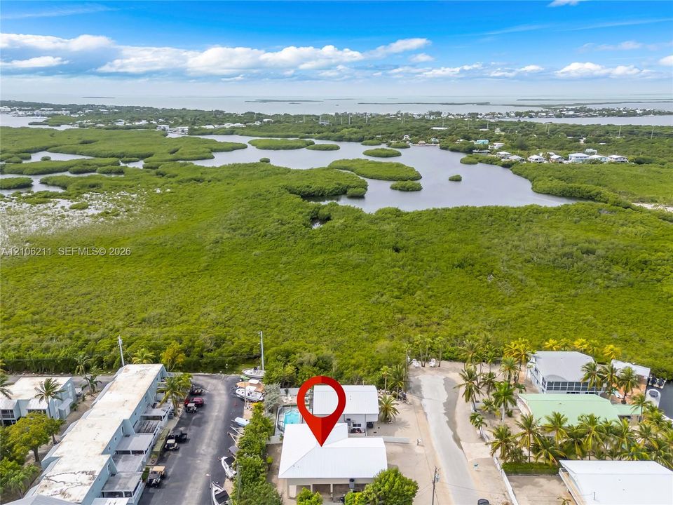 Aerial perspective of a coastal property featuring a metal roof, an in-ground swimming pool, and proximity to open water and mangrove preserves