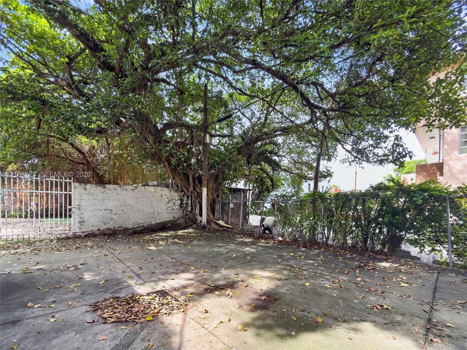 Concrete patio area featuring a masonry perimeter wall, mature tree canopy, and chain-link fencing