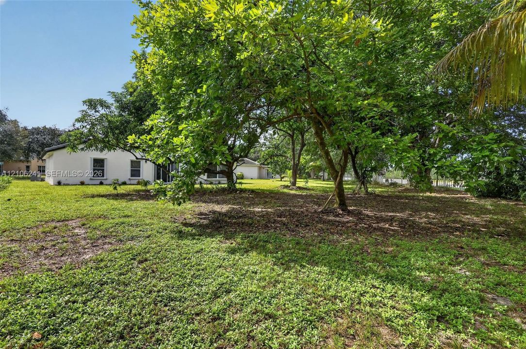 Expansive backyard featuring mature shade trees, a manicured lawn, and a stucco exterior residence