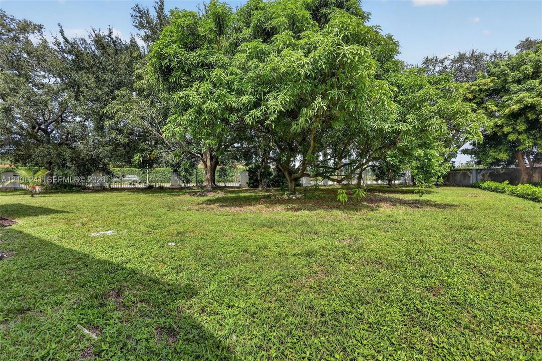 Expansive lot featuring mature shade trees, a grass lawn, and perimeter fencing