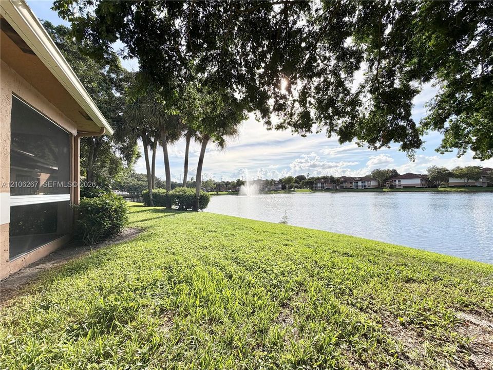 Waterfront backyard featuring a manicured lawn, established shade trees, palm trees, and an exterior screened enclosure