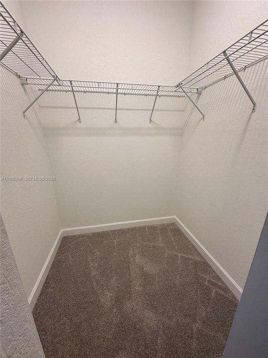 Walk-in storage space featuring neutral carpeting and tiered wire shelving