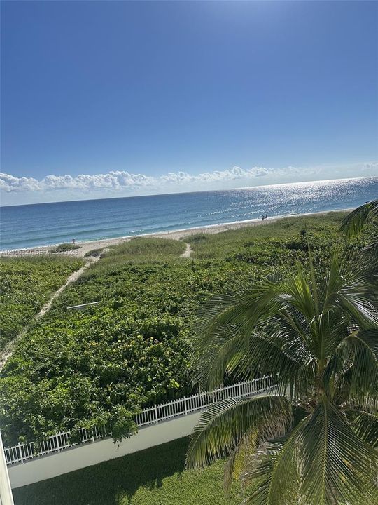Oceanfront scenery featuring a sandy coastline, native dune vegetation, and a white perimeter fence