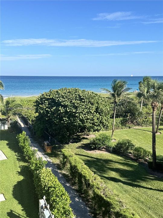 Oceanfront scenery featuring a paved walkway, manicured lawn, native coastal vegetation, and palm trees