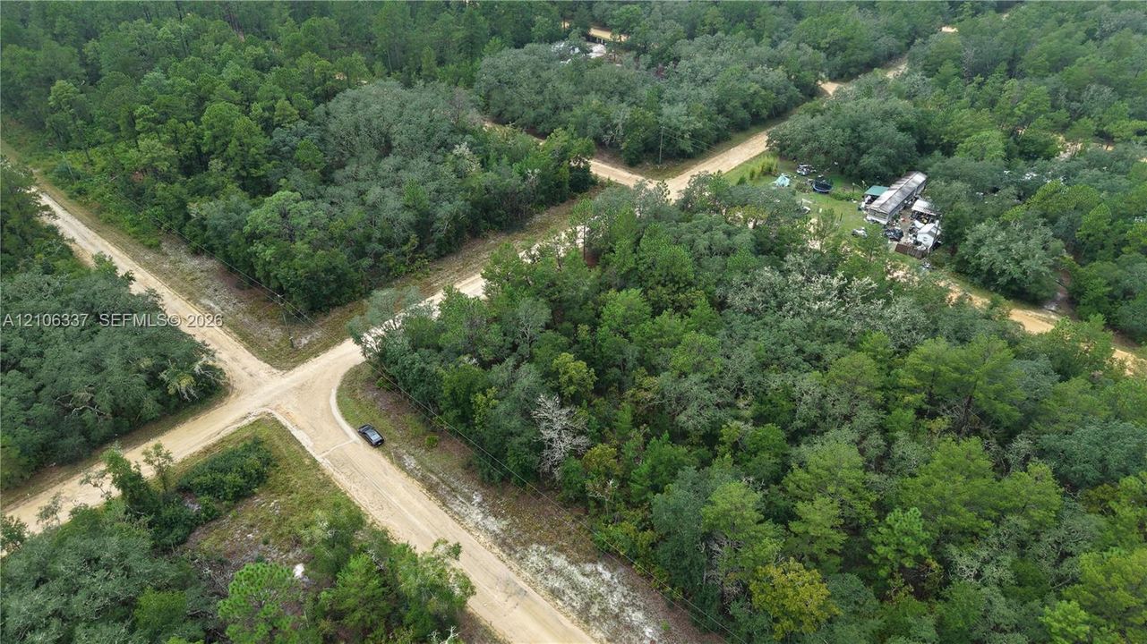 Expansive parcel of land featuring mature trees and dirt road frontage