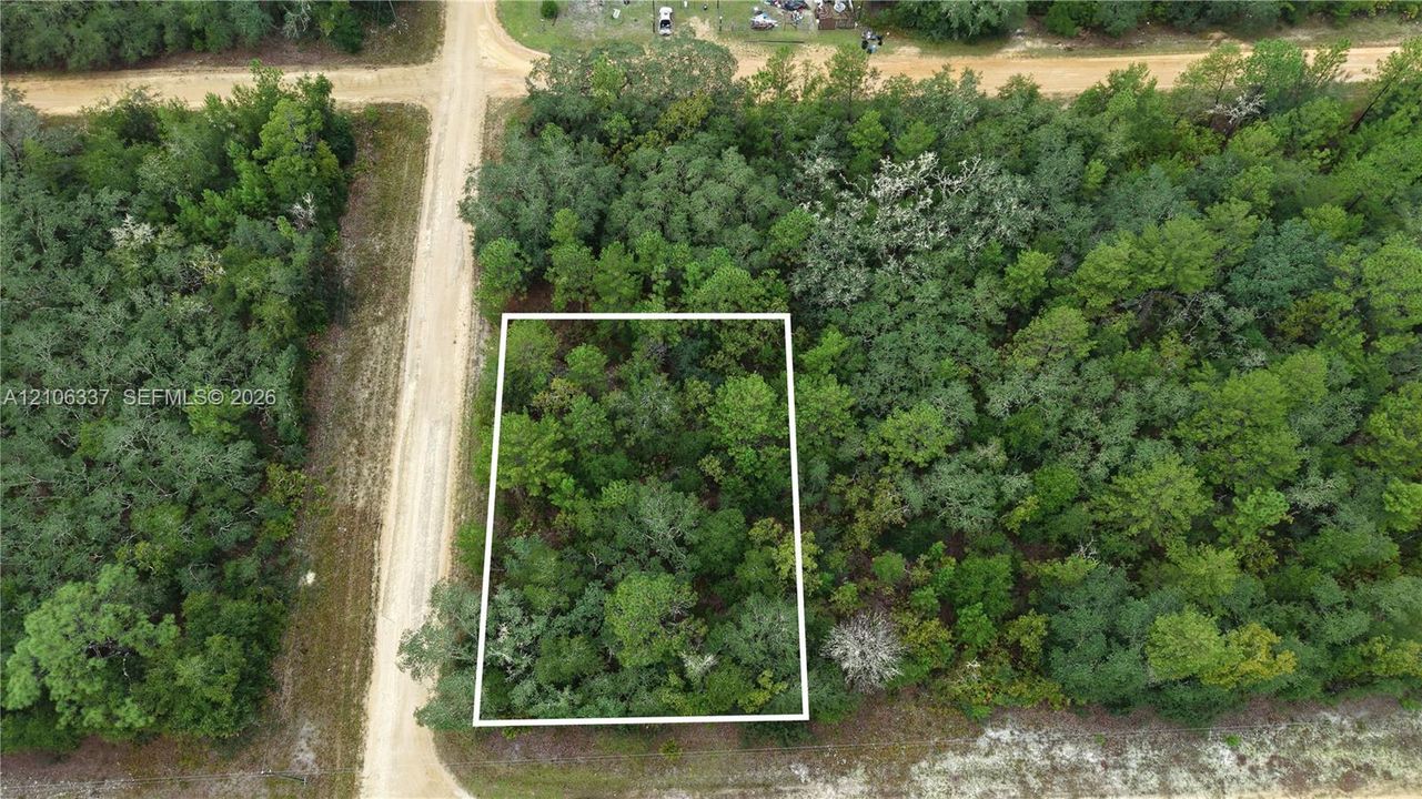Expansive rectangular parcel featuring dense native vegetation and mature tree canopy, positioned at a road intersection