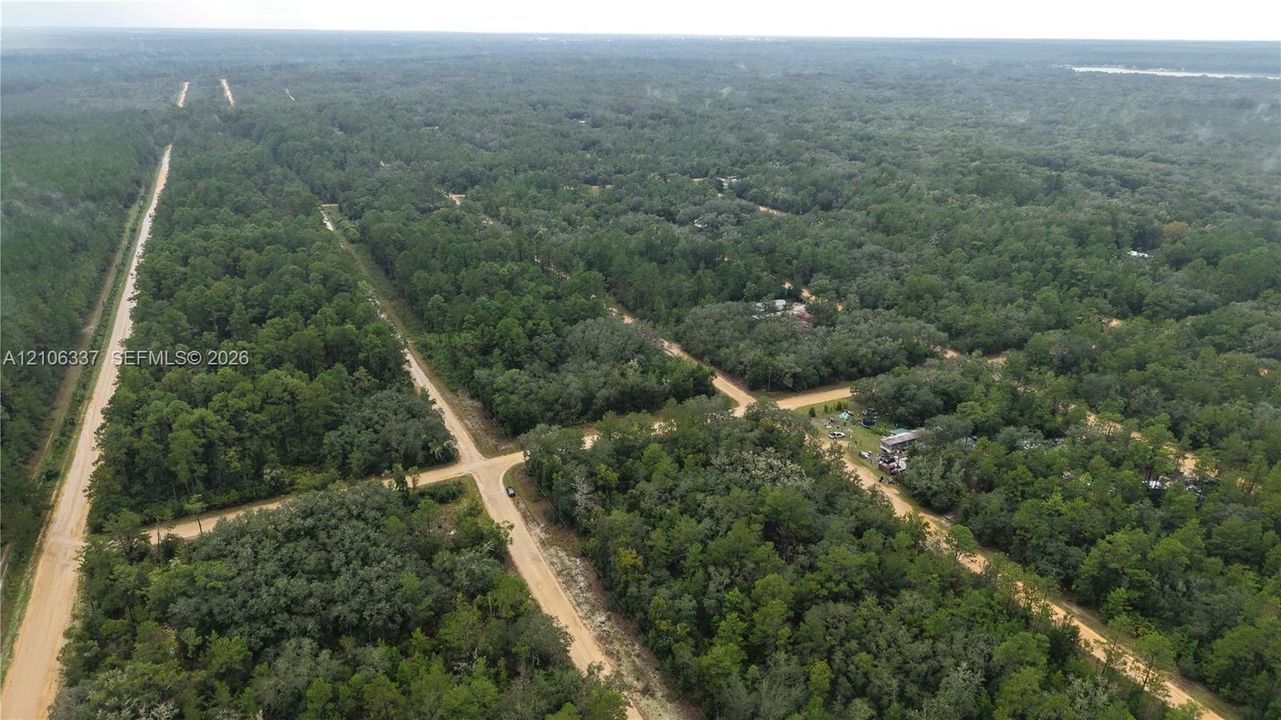 Aerial perspective of expansive wooded acreage featuring gravel thoroughfares and dense forest coverage