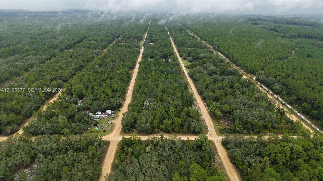 Expansive acreage featuring mature pine and hardwood canopy, grid-patterned dirt roads, and diverse natural vegetation
