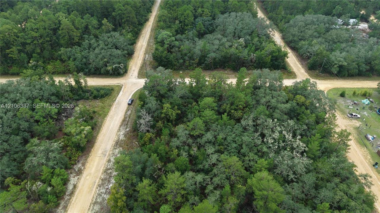 Expansive wooded parcel featuring mature evergreen and hardwood trees, situated at a corner intersection with direct road access