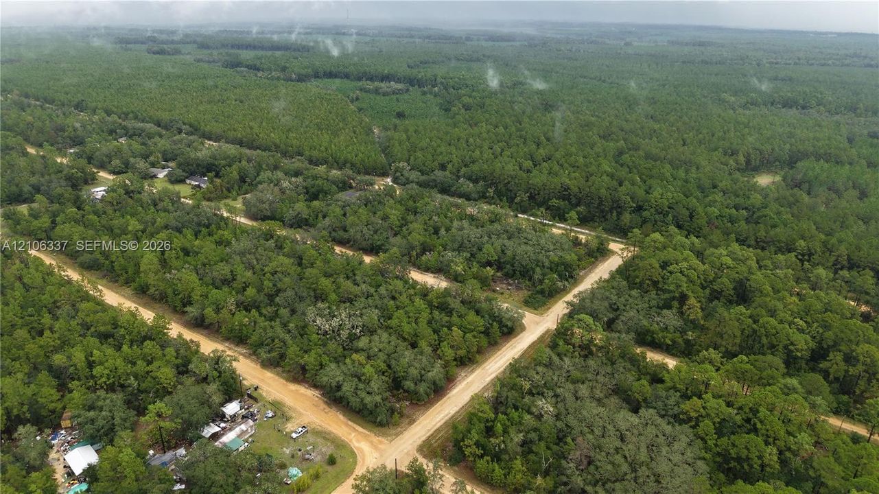Aerial perspective of expansive wooded acreage featuring mature timber and unpaved road access