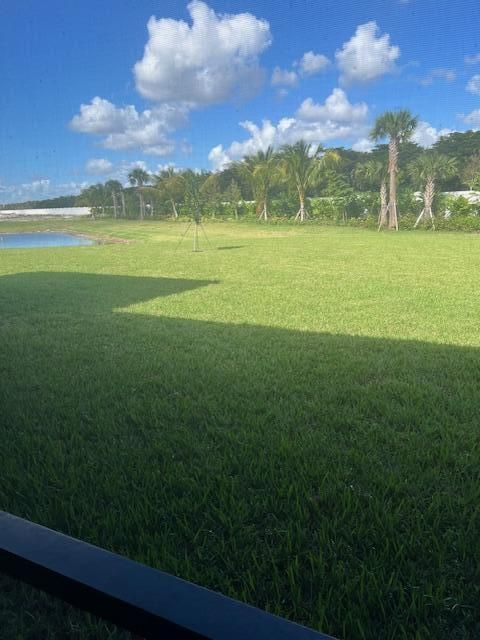 back yard 2
