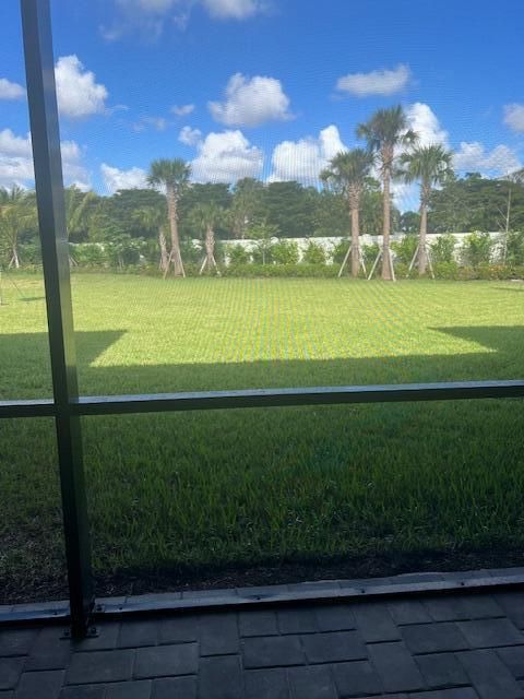 back yard