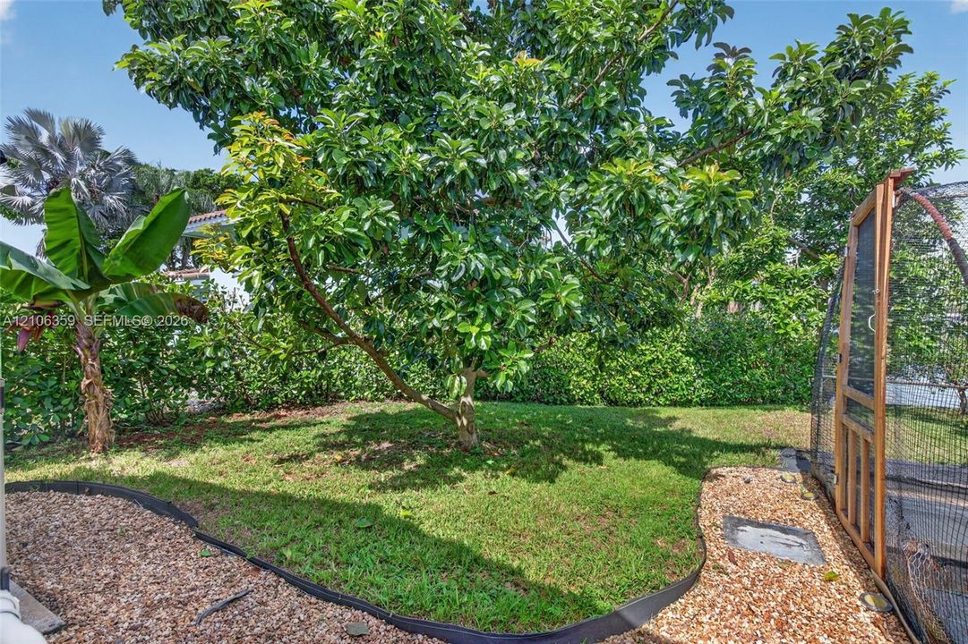 Landscaped backyard featuring mature trees, a manicured lawn, gravel ground cover, and a screened enclosure