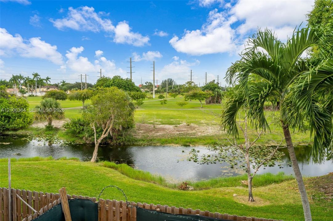 Waterfront lot featuring a grass lawn, mature palm trees, and an expansive green space backdrop