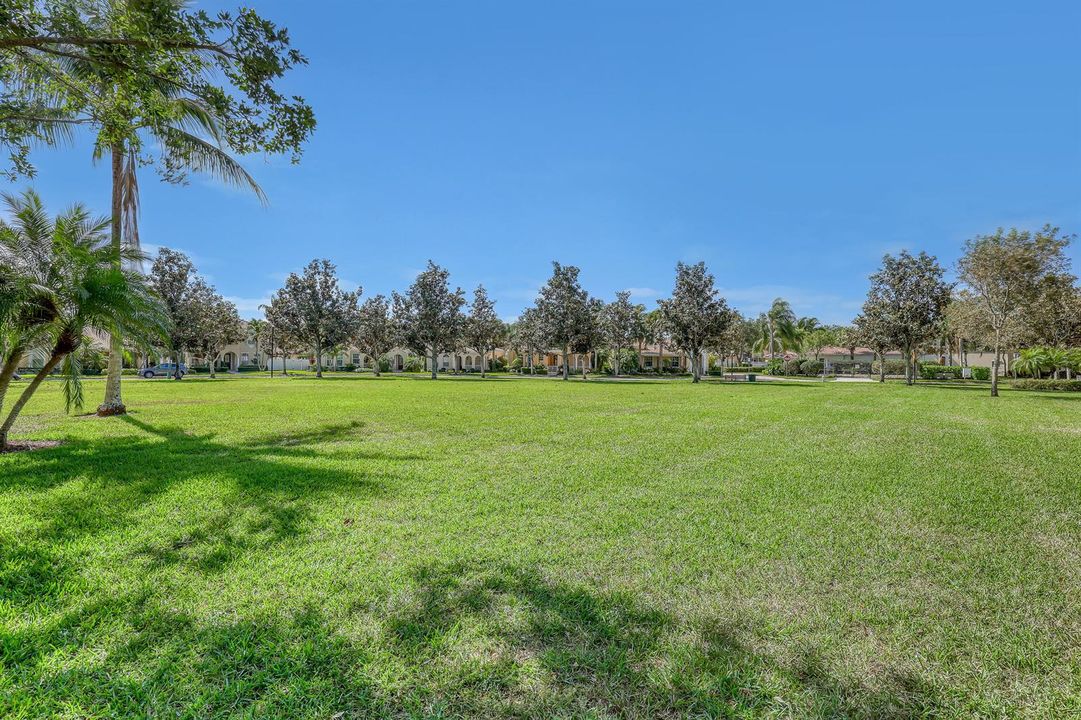 Greenspace