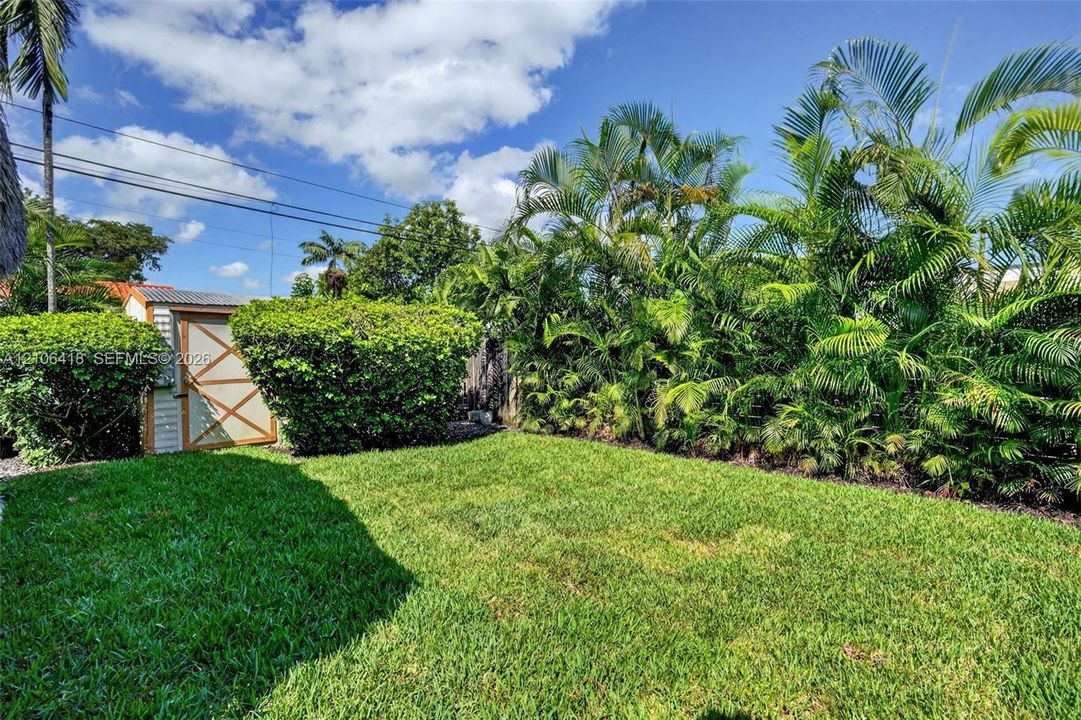 Backyard featuring a grass lawn, mature palm trees, perimeter shrubbery, and a detached storage shed with a cross-brace door