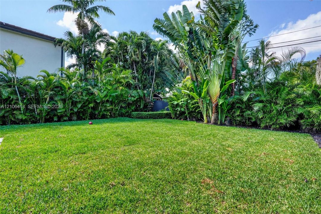 Expansive backyard featuring a lush grass lawn and mature perimeter landscaping including palm trees and traveler palms