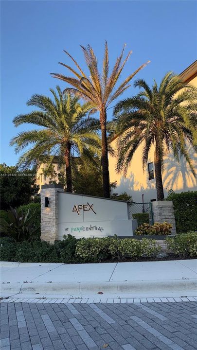 Property entrance featuring stone masonry pillars, integrated lighting fixtures, and native palm tree landscaping