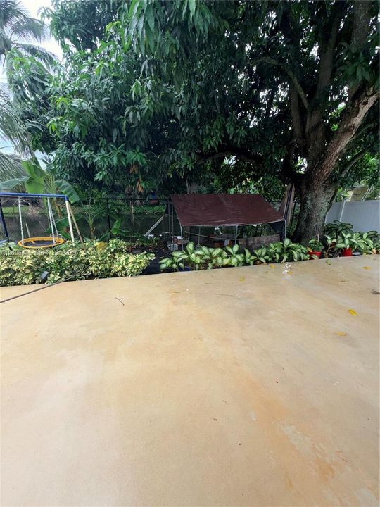 Concrete patio surface with established landscaping, mature tree canopy, and perimeter fencing
