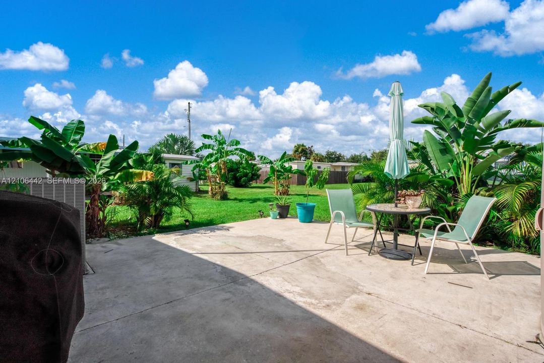 Concrete patio overlooking a backyard with a grass lawn, mature tropical vegetation, and perimeter fencing