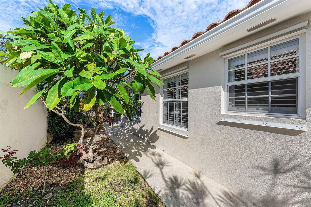 Exterior Side Yard