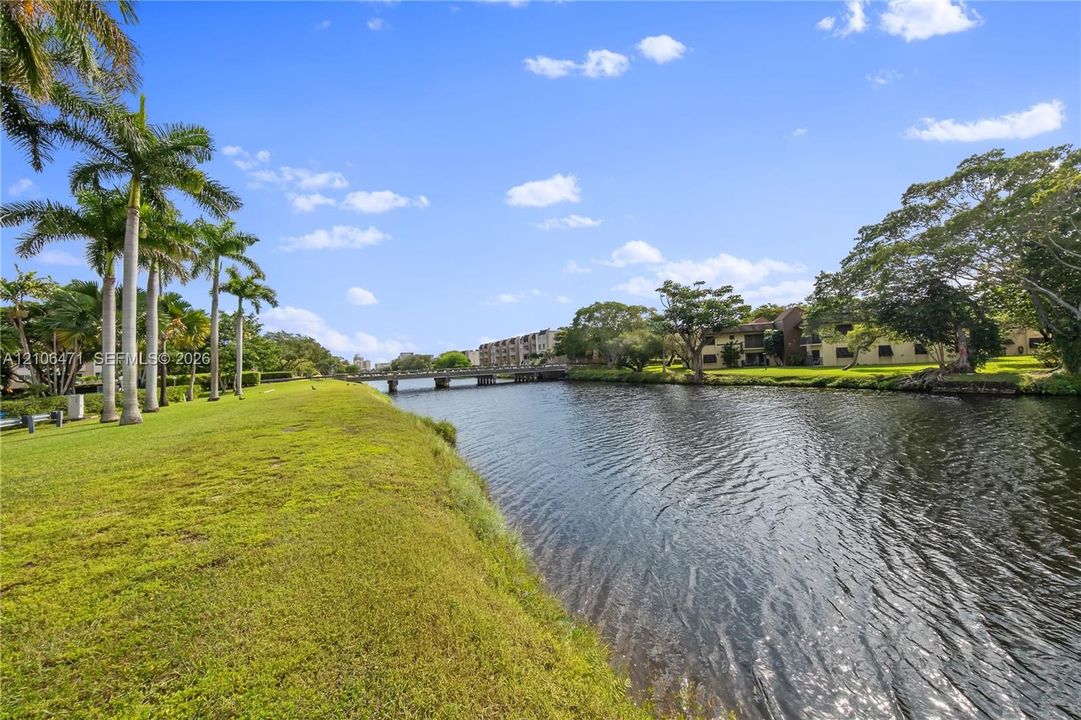 Waterfront grounds featuring a grass lawn, established palm trees, and mature landscaping