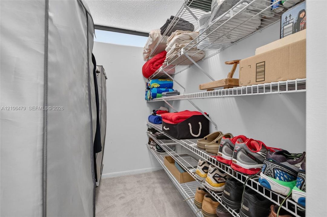 Storage area featuring wall-to-wall wire shelving and carpeted flooring