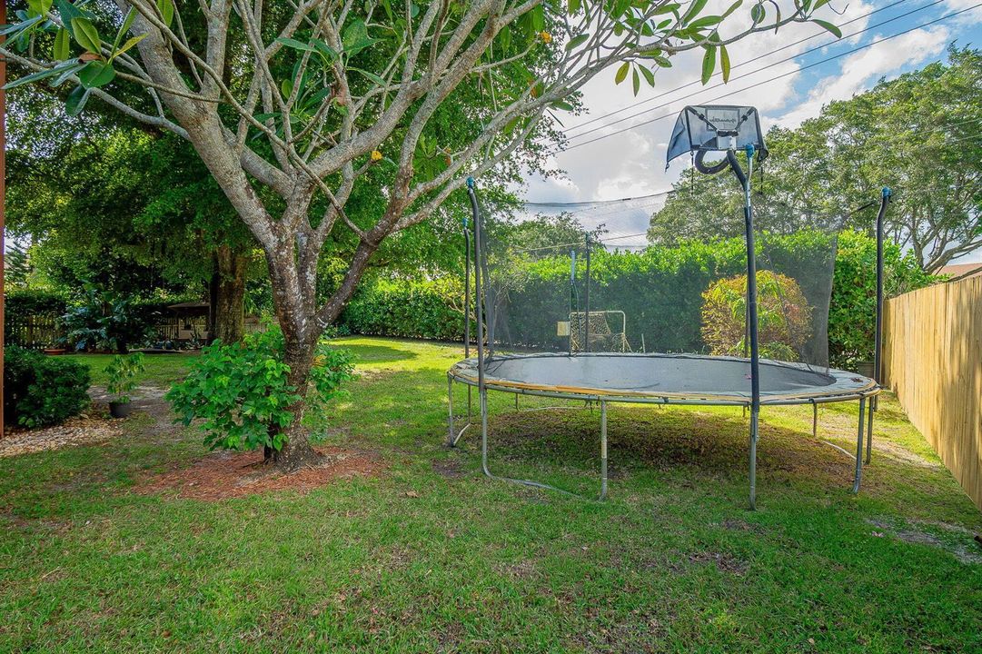 37-web-or-mls-DSC01278