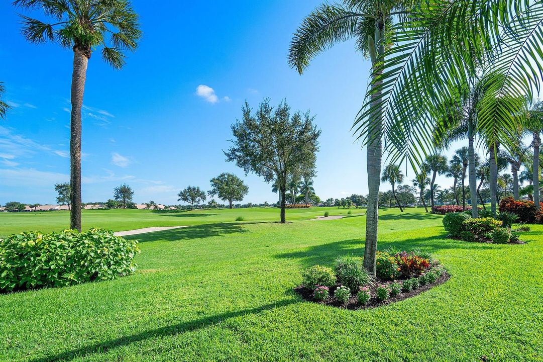 Backyard View