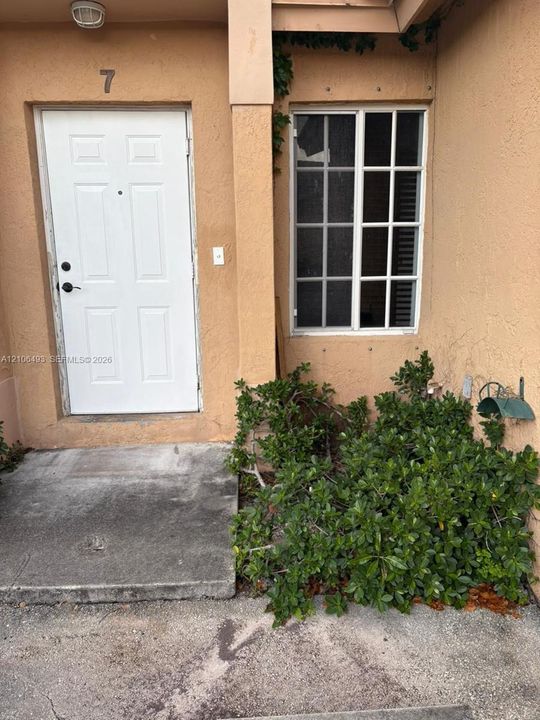 Stucco exterior entrance featuring a white panel door, multi-pane window, and concrete threshold with integrated landscaping
