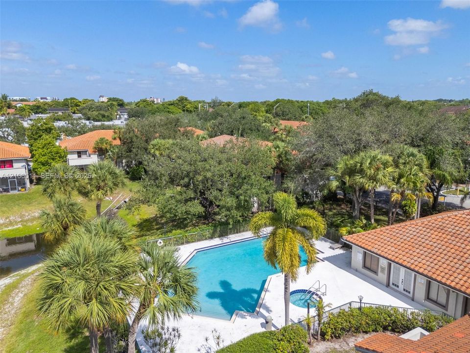 Outdoor swimming pool with integrated spa, concrete decking, and mature palm trees