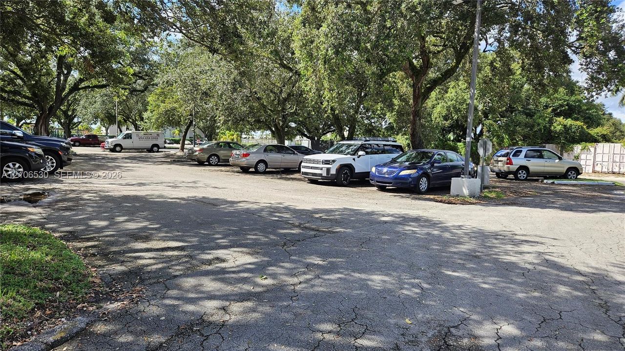 Asphalt parking area featuring mature shade trees and a street light pole