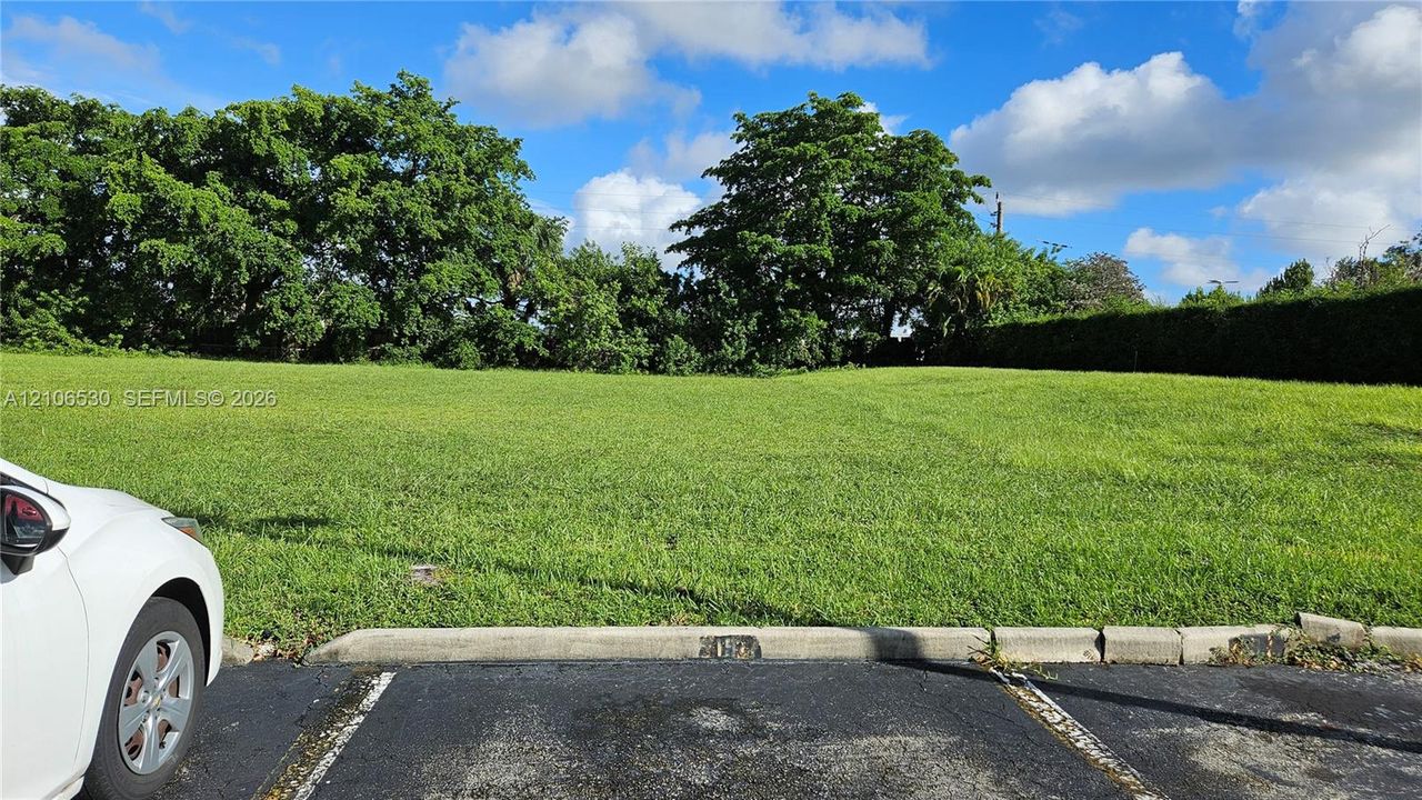 Open lot featuring expansive manicured lawn, established perimeter greenery, and paved parking area
