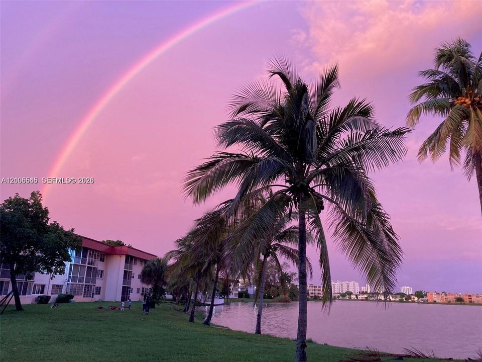 Exterior grounds featuring mature palm trees, a waterfront setting, and expansive green space