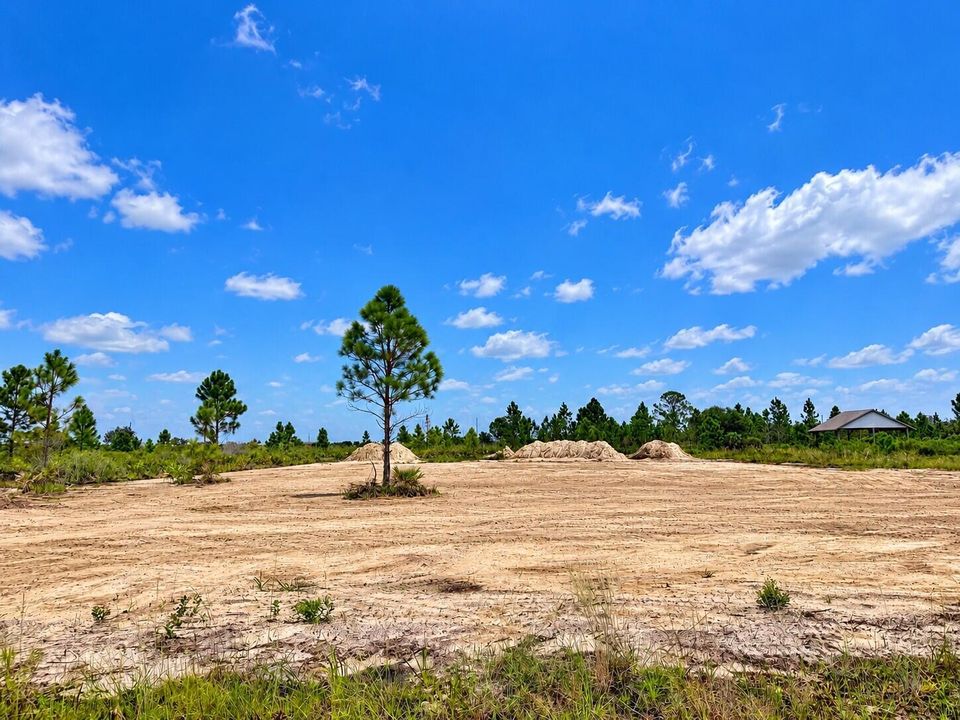 Sunny Cleared Lot Under Blue Skies